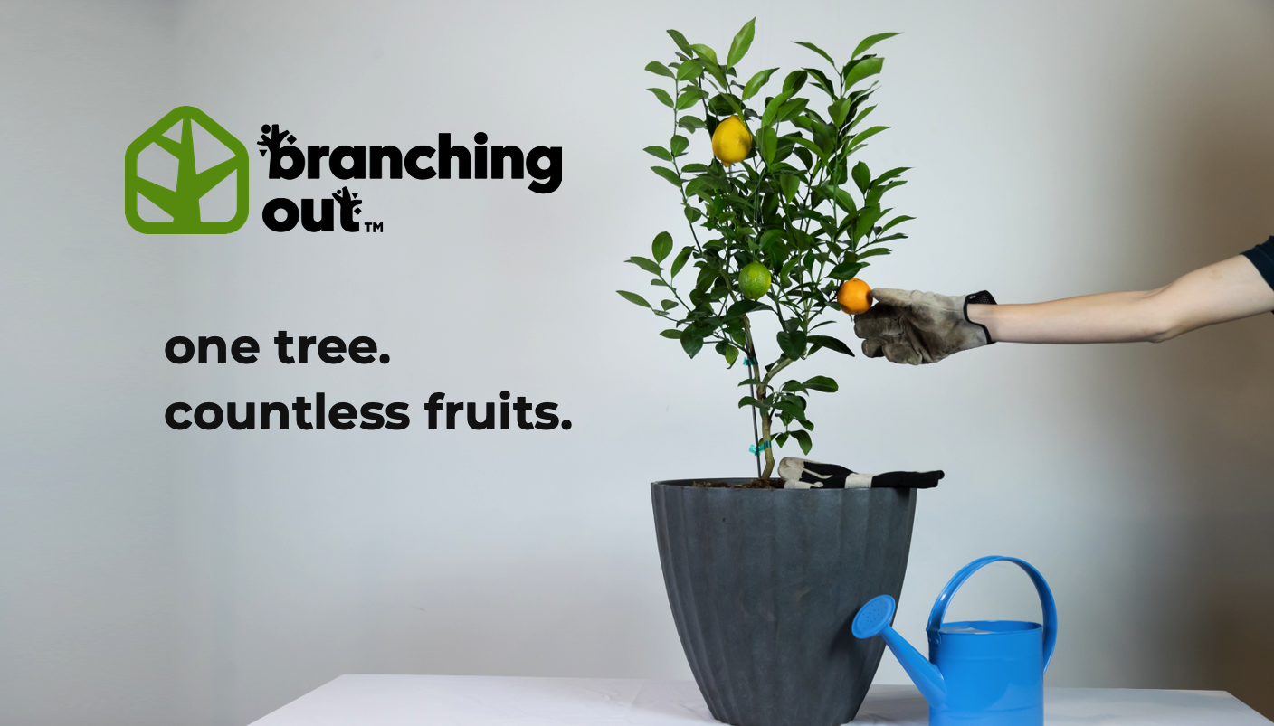 Branching out